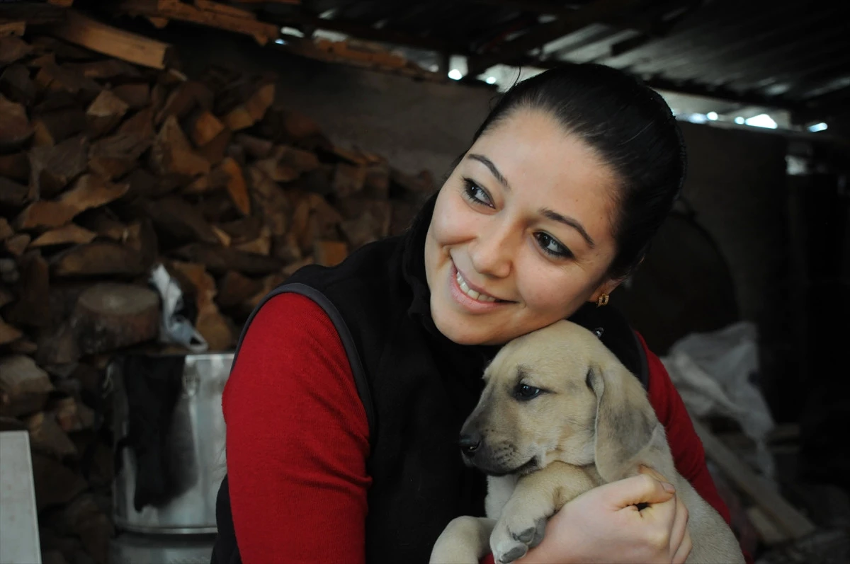 Sahipsiz Yavru Köpeklere Yuva Oldular