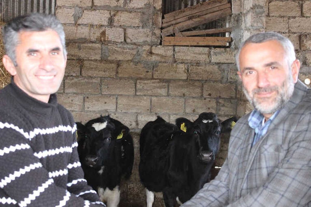 Azerbaycan\'daki Süt Sığırcılığının Geliştirilmesi Projesi 3\'üncü Yılını Doldurdu