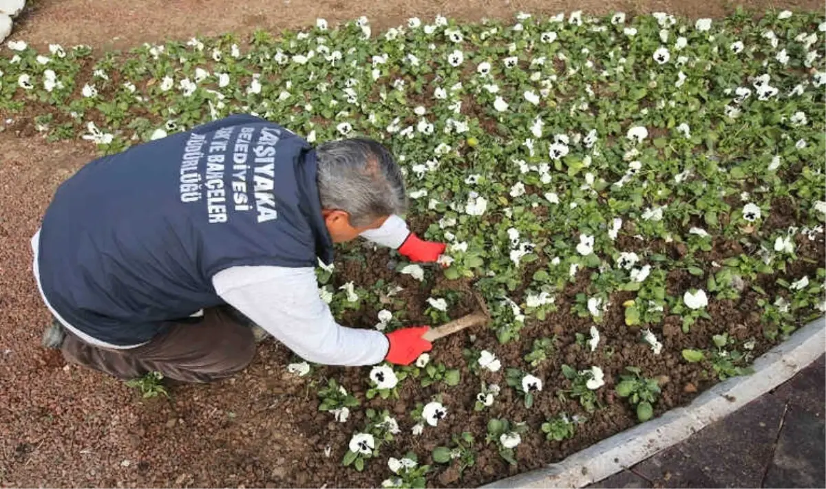 Bademler\'in Çiçeği Karşıyaka\'da Açıyor