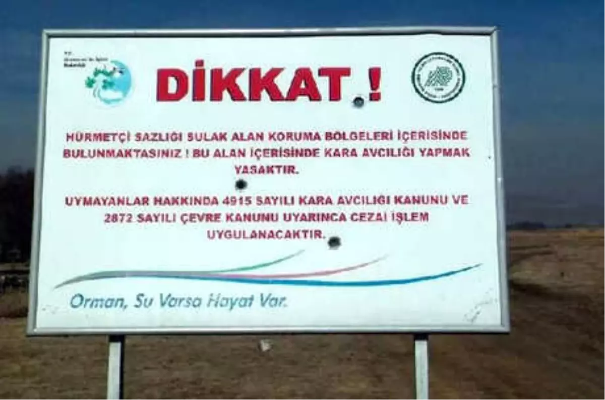 Hürmetçi Sazlığında Kurşun İzli Sulak Alan Levhası