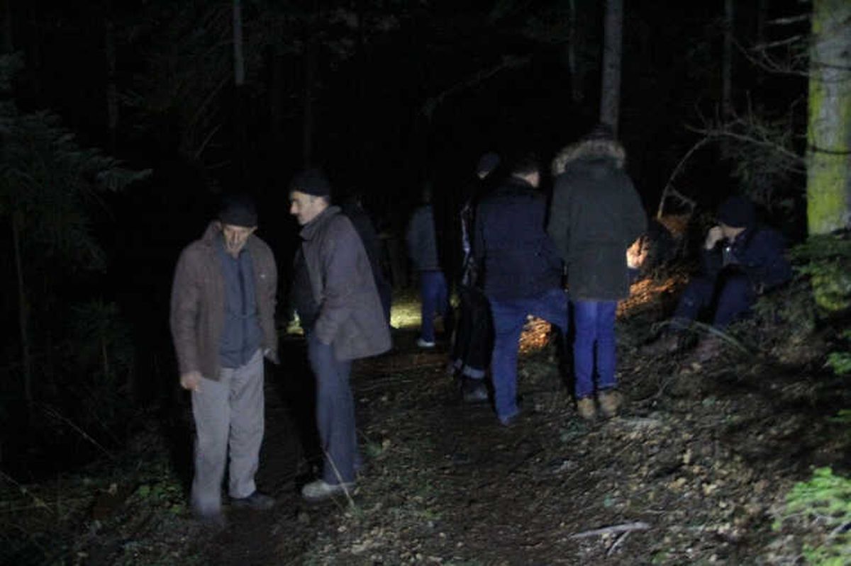 Odun Toplamak İçin Ormana Giden Yaşlı Vatandaş Ölü Bulundu