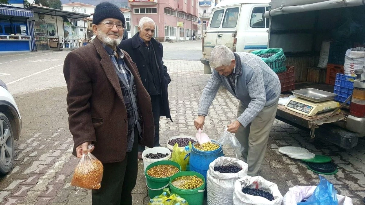 50 Yıldır Zeytin ve Zeytinyağı Üretiyor