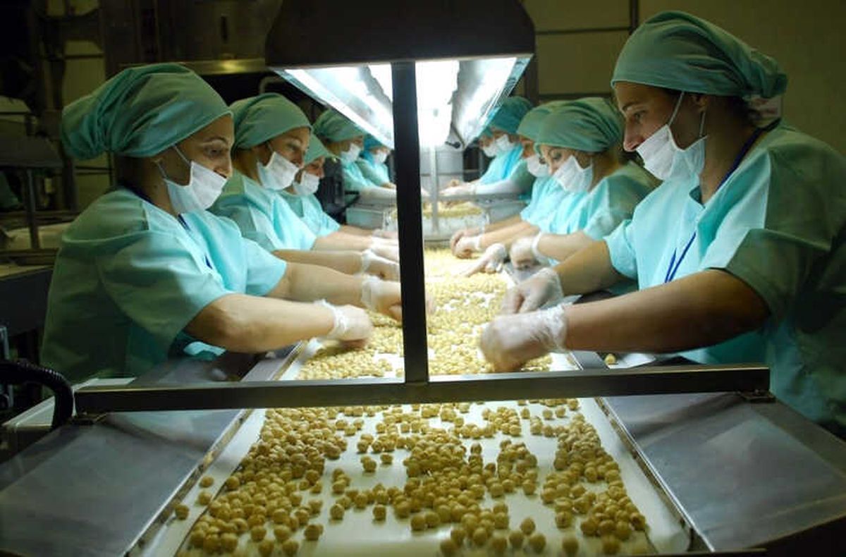Düzce\'den 2017 Yılında 22 Bin 583 Ton İç Fındık İhracatı Gerçekleşti