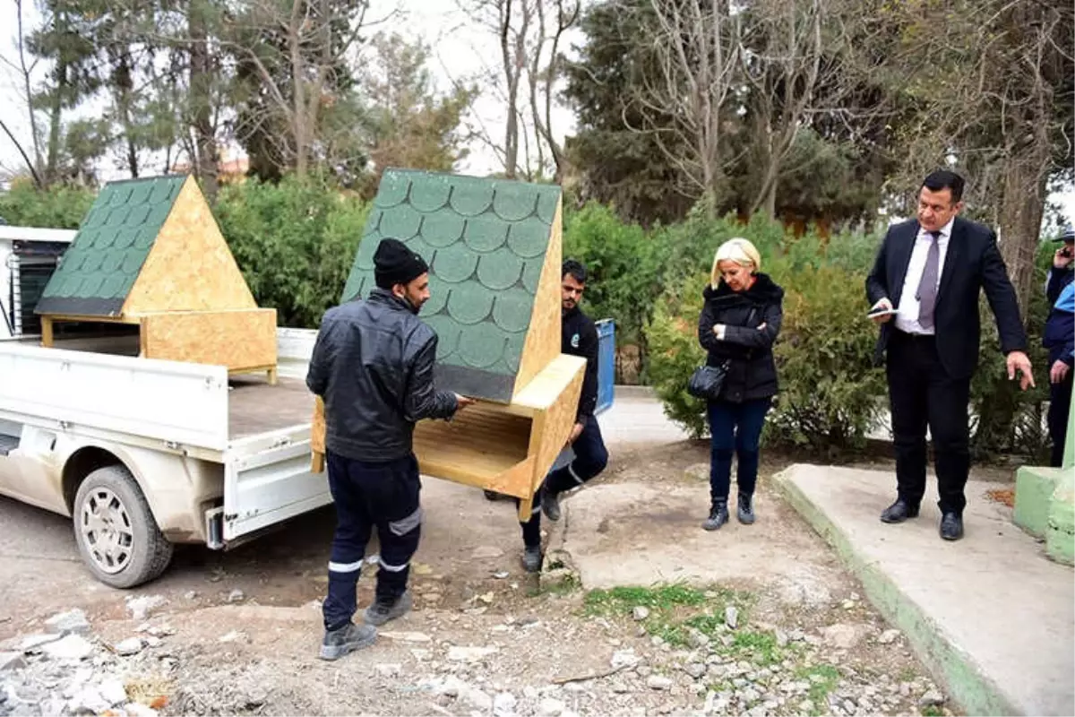 Sokak Hayvanlarına Şefkat Eli