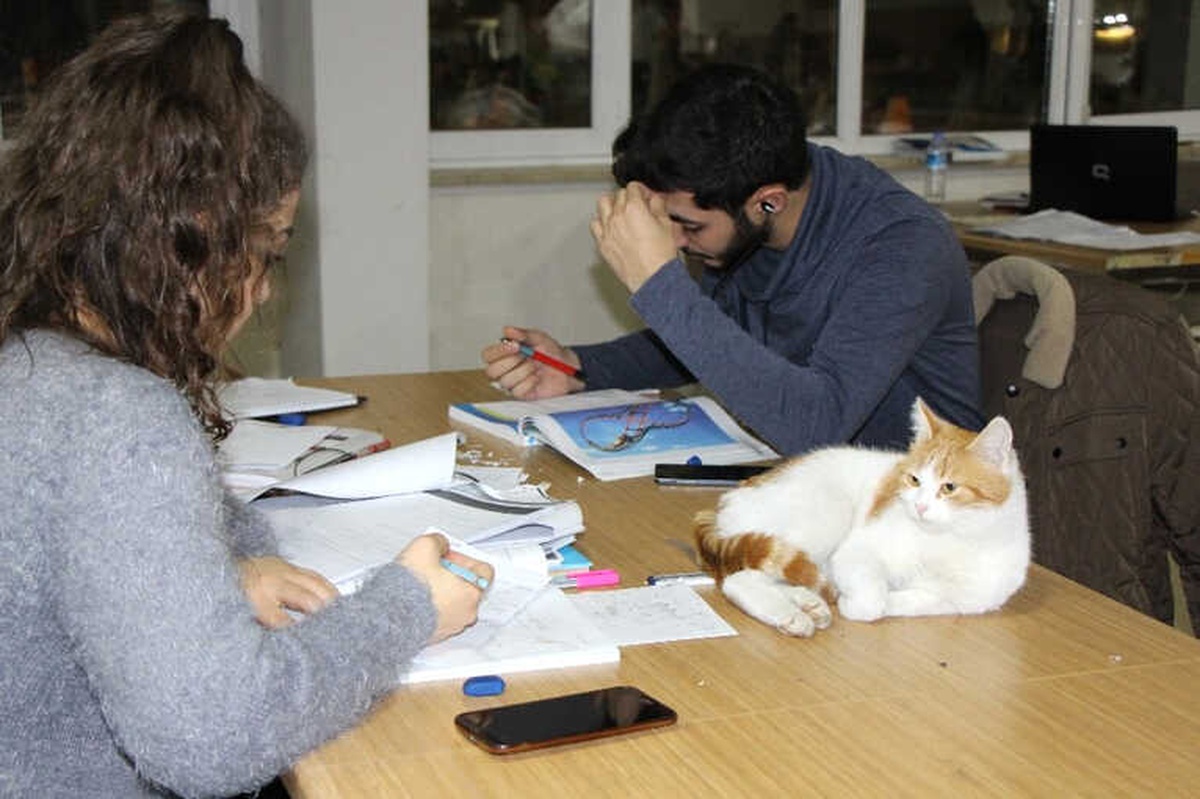 Üniversite Kütüphanesinin Maskotu Oldu