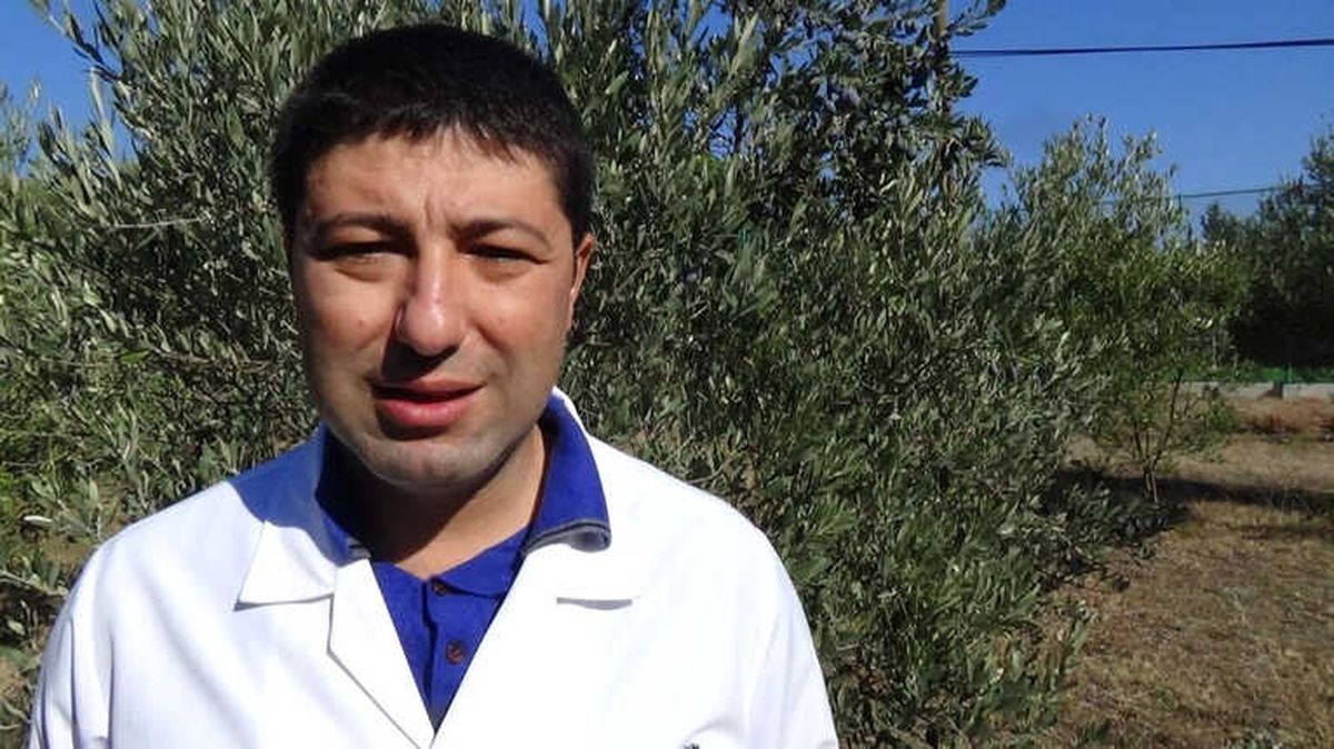 Zeytinyağında Kazıklanmayın