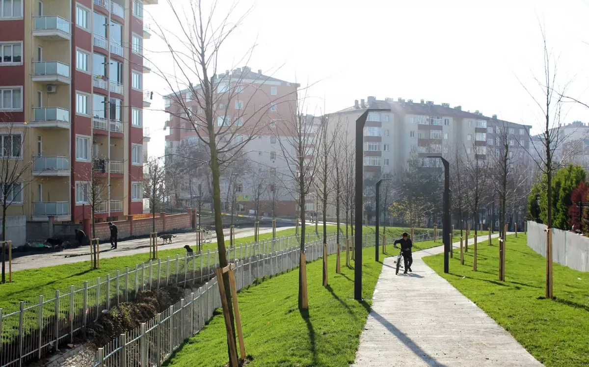 Atmaca Vadisi Artık Yemyeşil