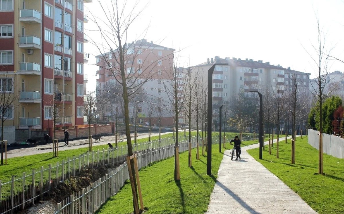 Atmaca Vadisi Yeşillendirildi