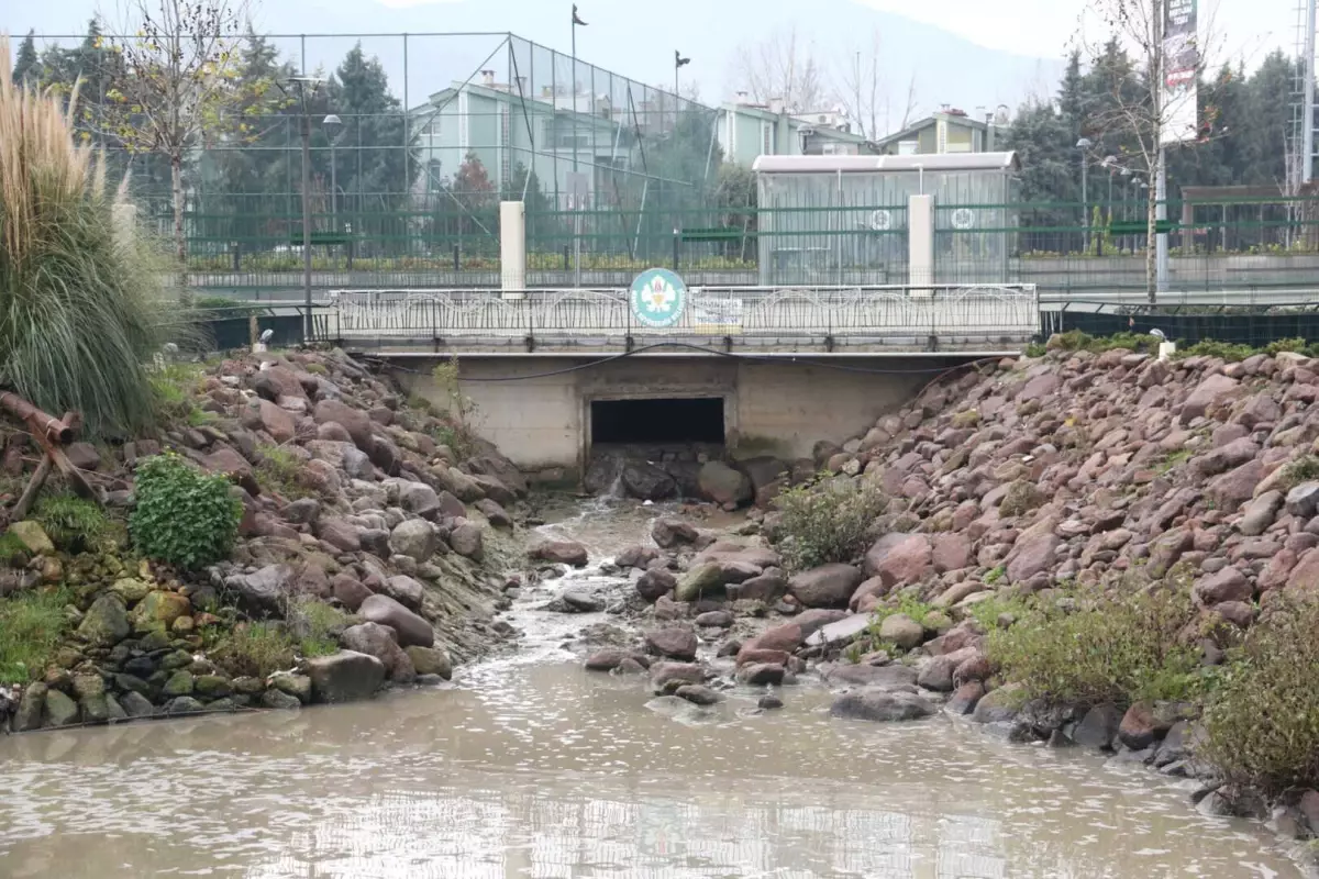 Duyarsızlık Devam Etti, Dereden Numune Alındı