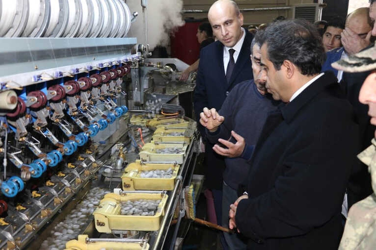 İpek Böcekçiliğinde Türkiye Üretiminin Yarısı Diyarbakır\'ın Kulp İlçesinden