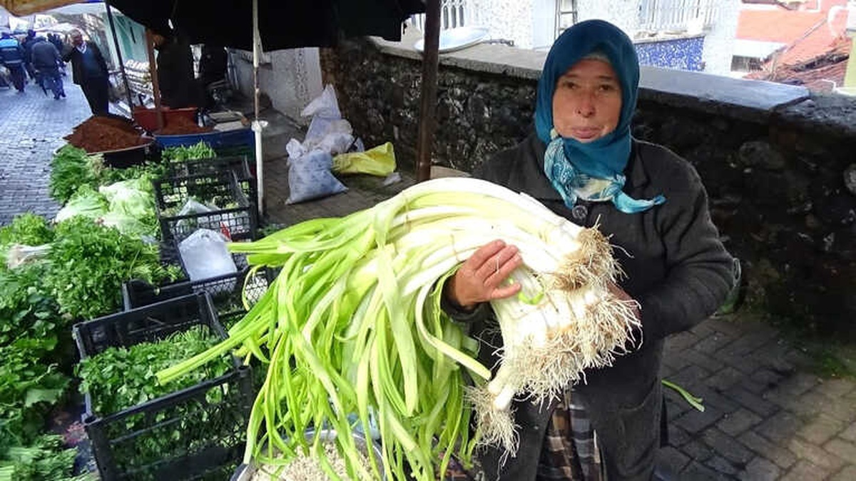 Meşhur Örenli Pırasası Tezgahlardaki Yerini Aldı