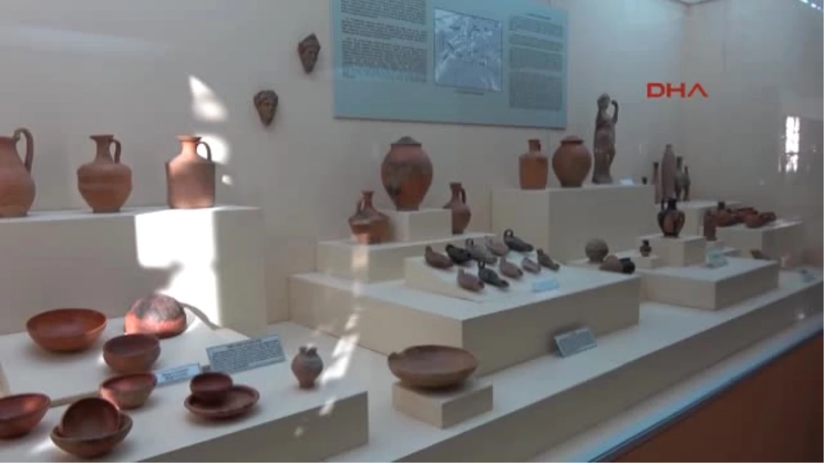 Sivas Arkeoloji Müzesi, 9 Milyon Yıl Öncesine Işık Tutuyor