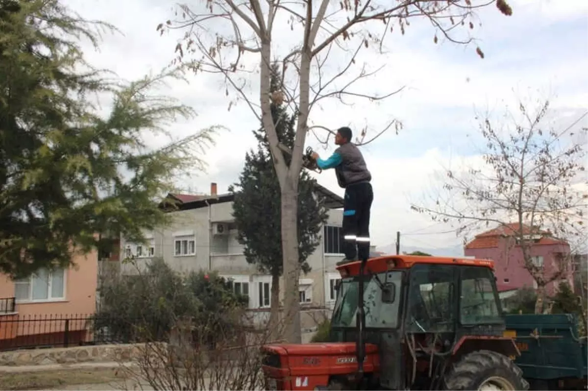 Alaşehir Belediyesinden İhtiyaç Sahibi Ailelere Yardım Eli