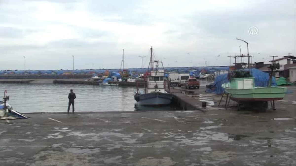 Balıkçılar Limana Demir Attı