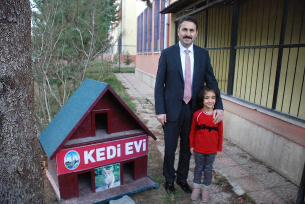 Sosyal Medyadan \'Kediler Üşümesin\' Diye Ev İstedi