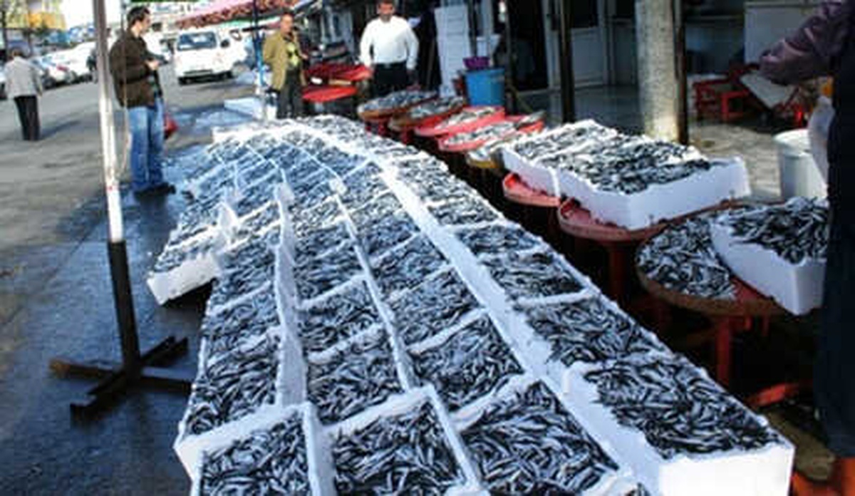 Rize\'de 40 Ton Küçük Boy Hamsiye El Konuldu