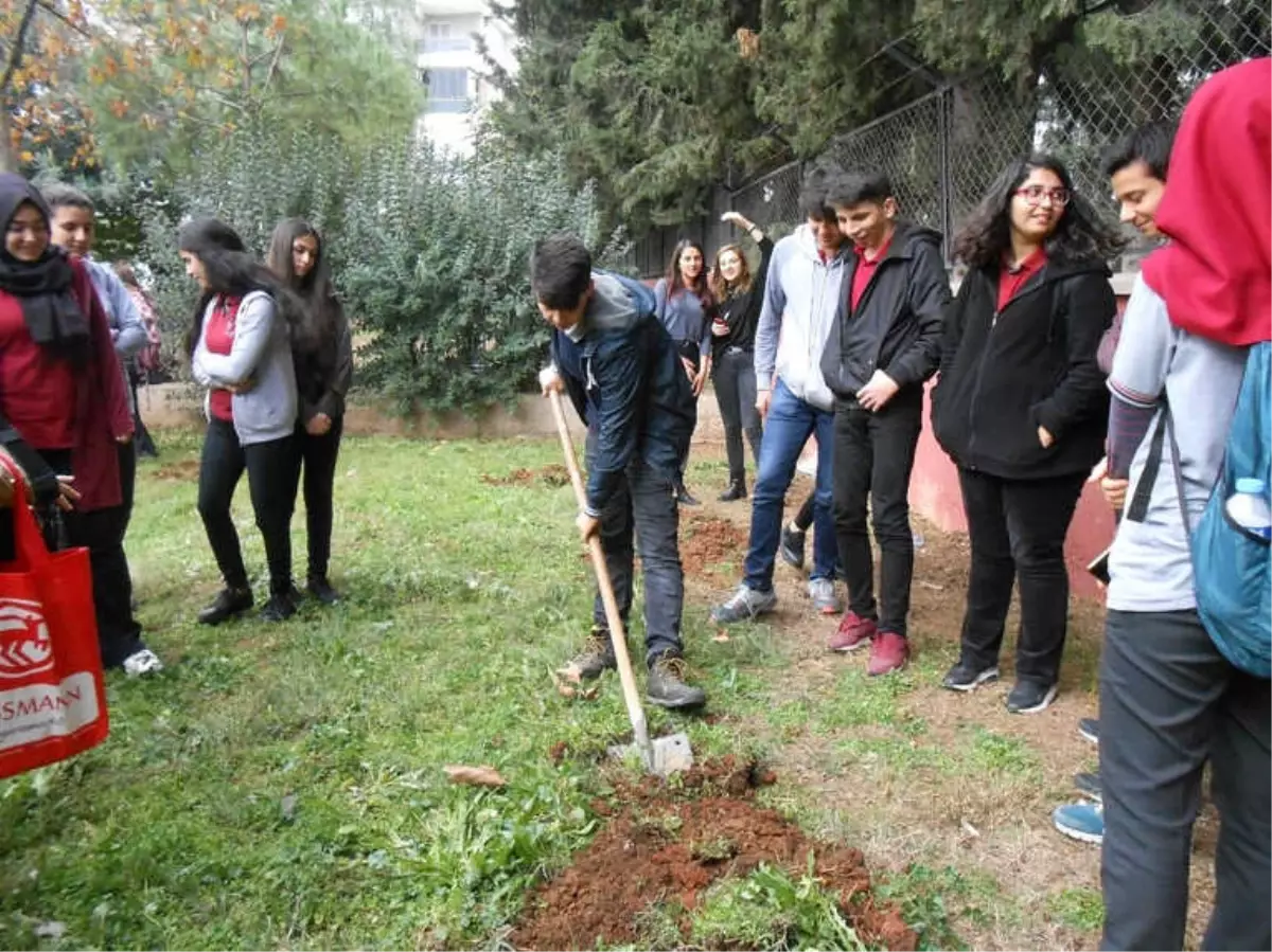 Muratpaşa\'dan Okul Bahçelerini Ağaçlandırma Seferberliği