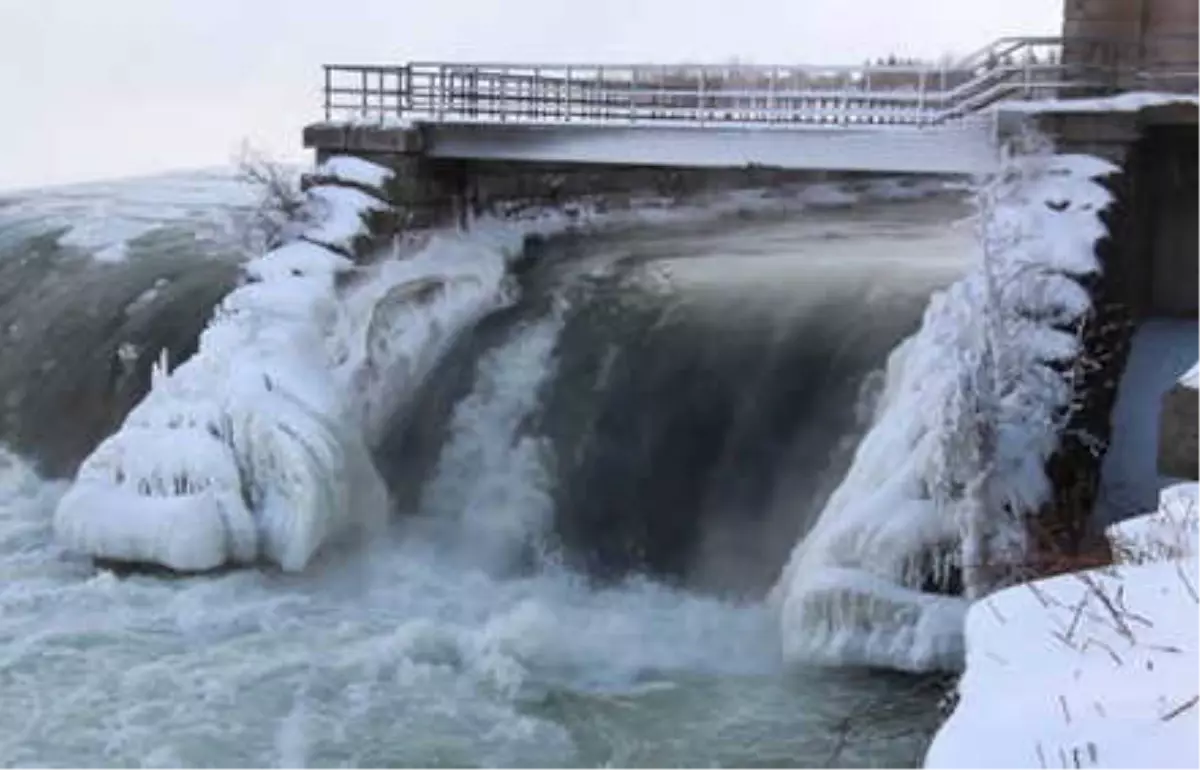 Niagara Şelaleleri Buz Akıyor