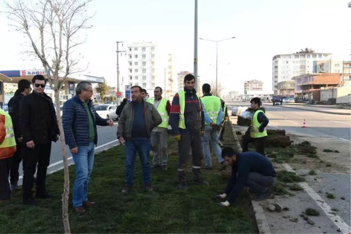 Vali Deniz Peyzaj Çalışmalarını Yerinde İnceledi