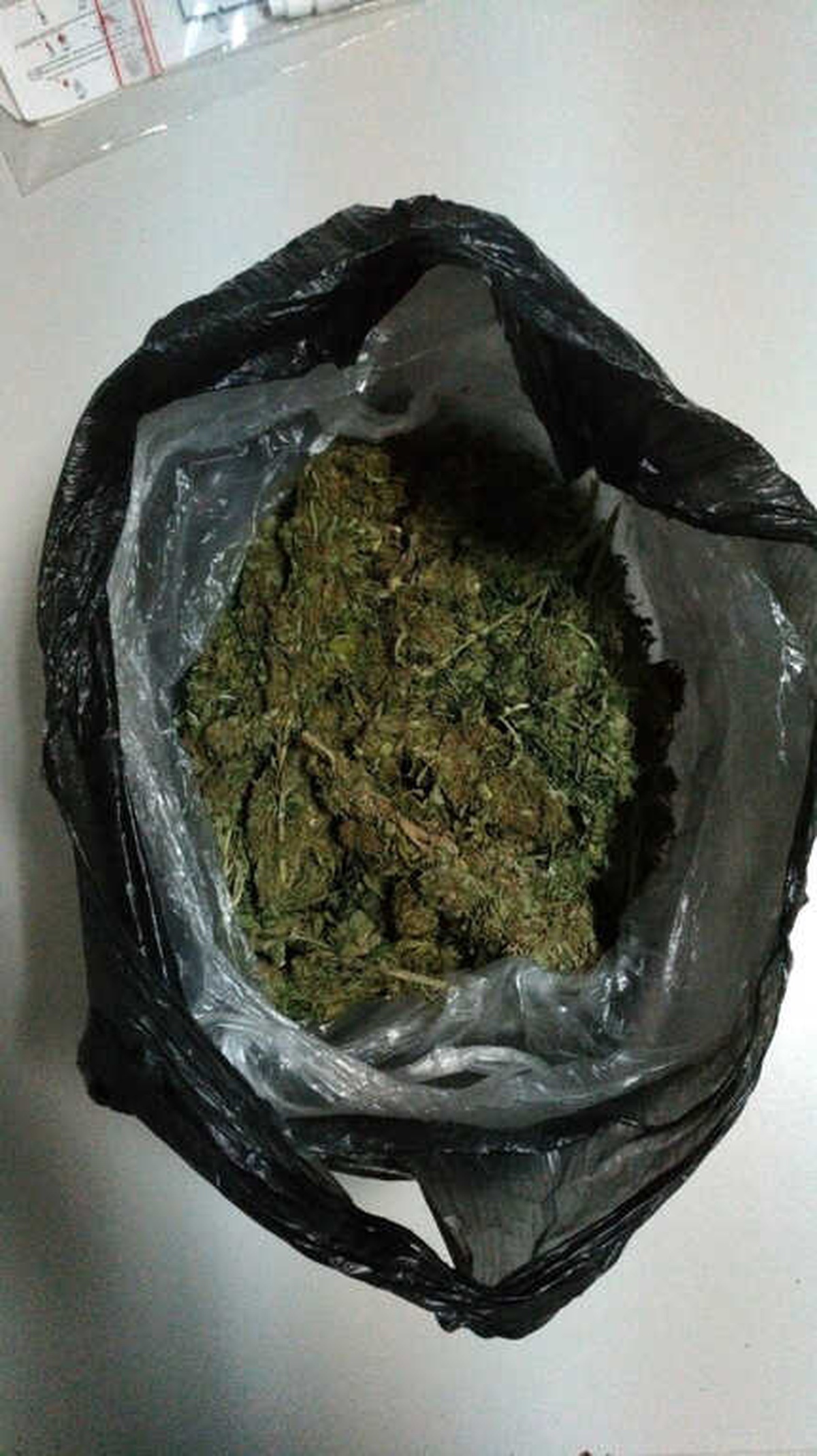 Molly\' Zehir Tacirlerine Göz Açtırmıyor