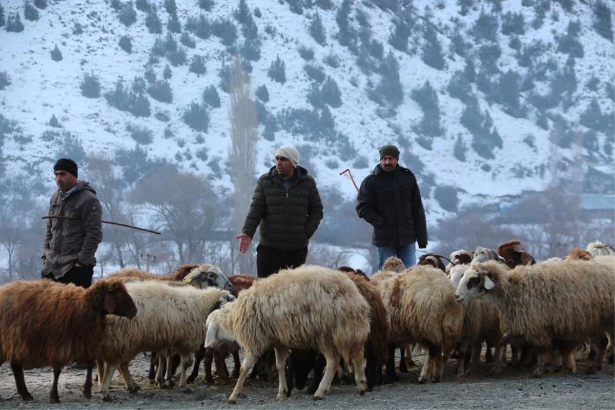 Akşarlılar Kapalı Hayvan Pazarı İstedi