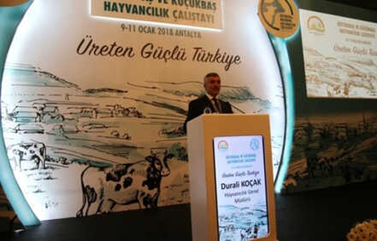 Büyükbaş ve Küçükbaş Hayvancılık Çalıştayı