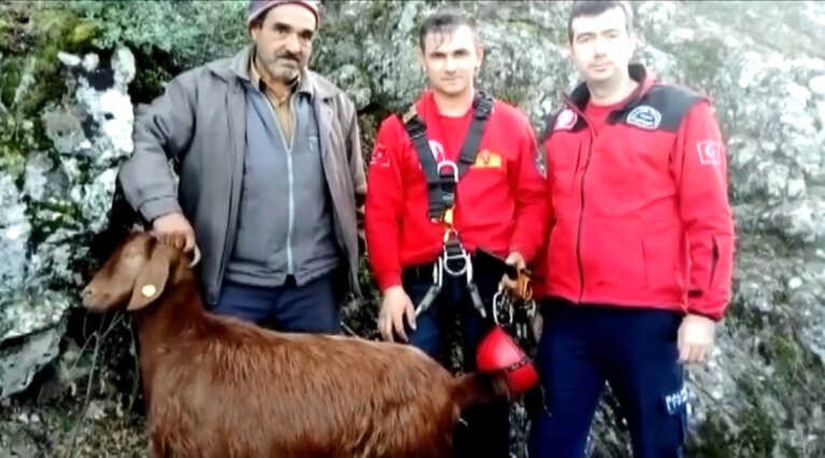 Kayalıklardan Düşen Keçileri İtfaiye Kurtardı
