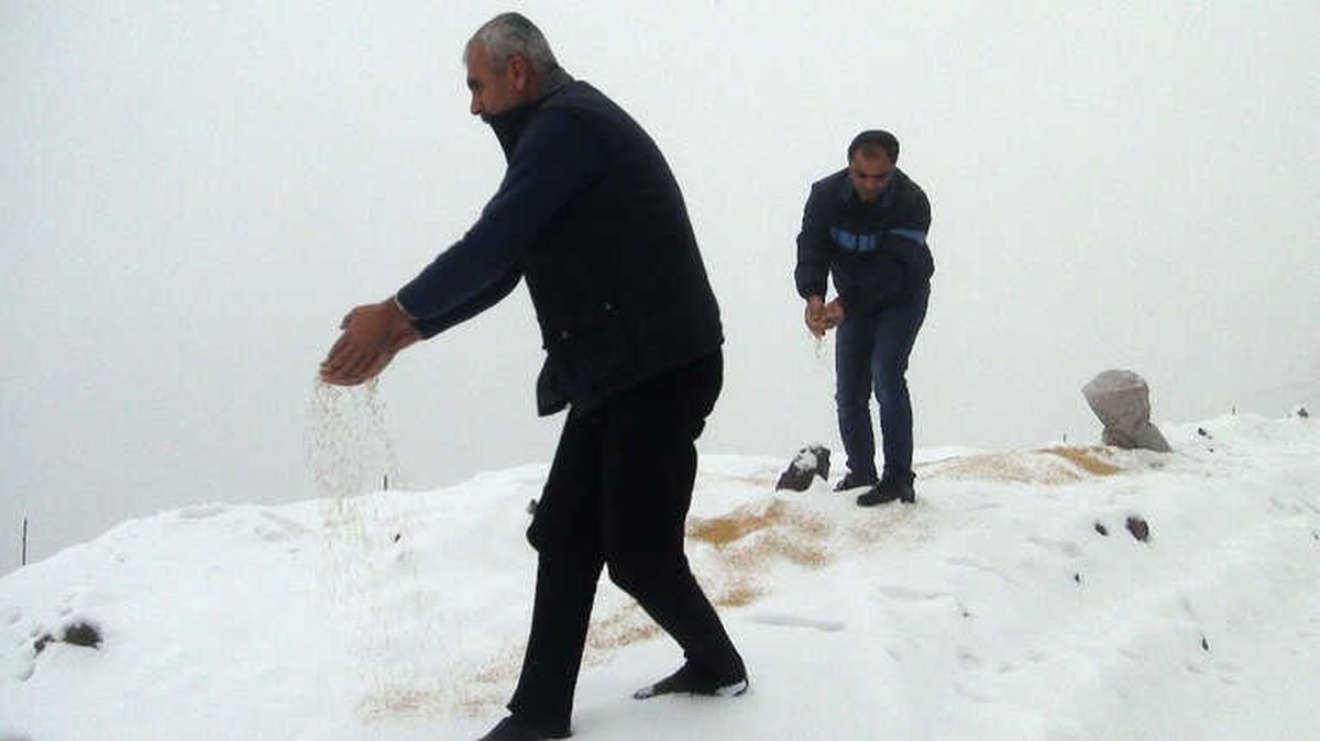 Yabani Hayvanlar Unutulmadı