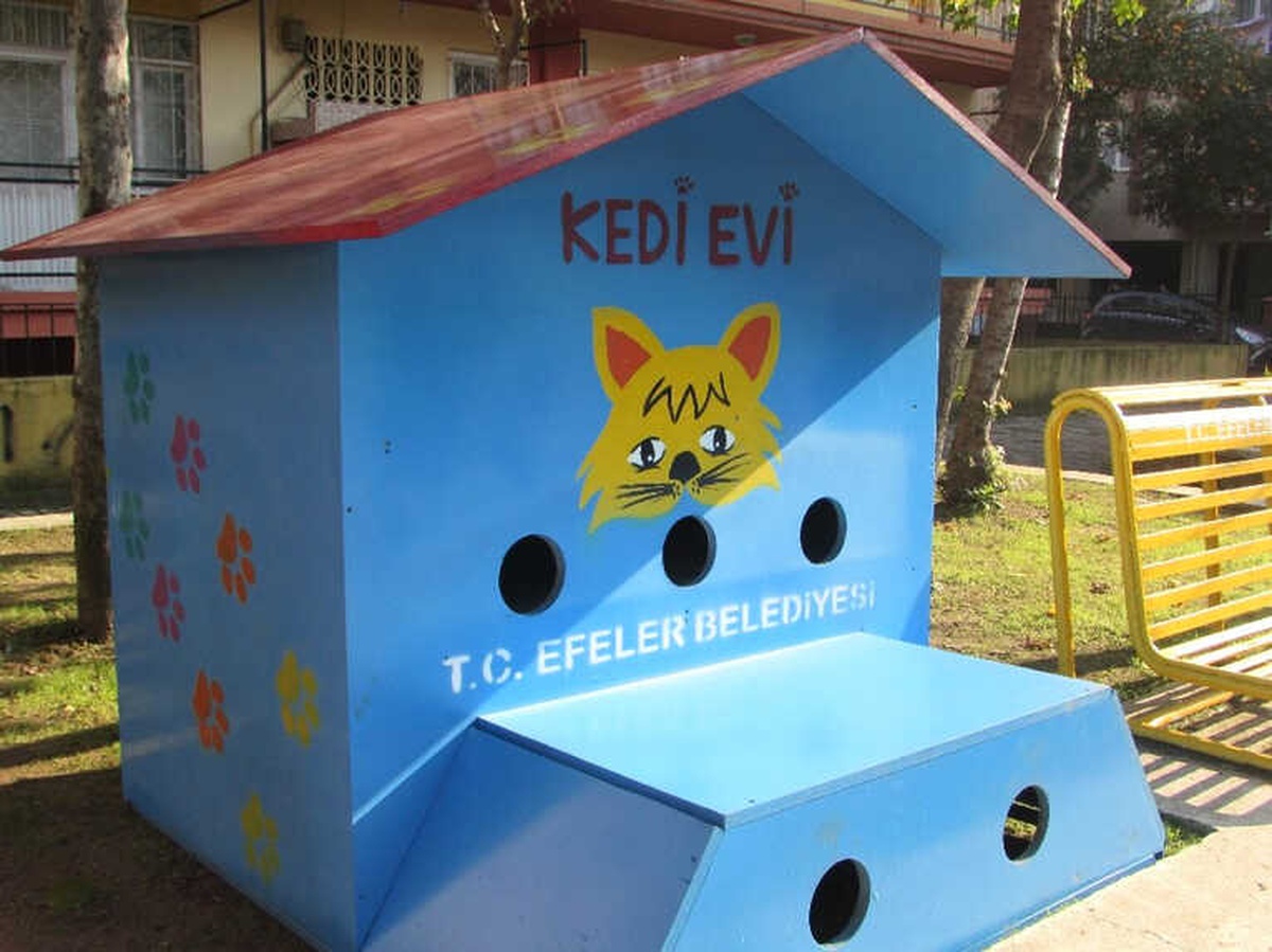Efeler Belediyesi\'nden Sokak Kedilerine Sıcak Yuva