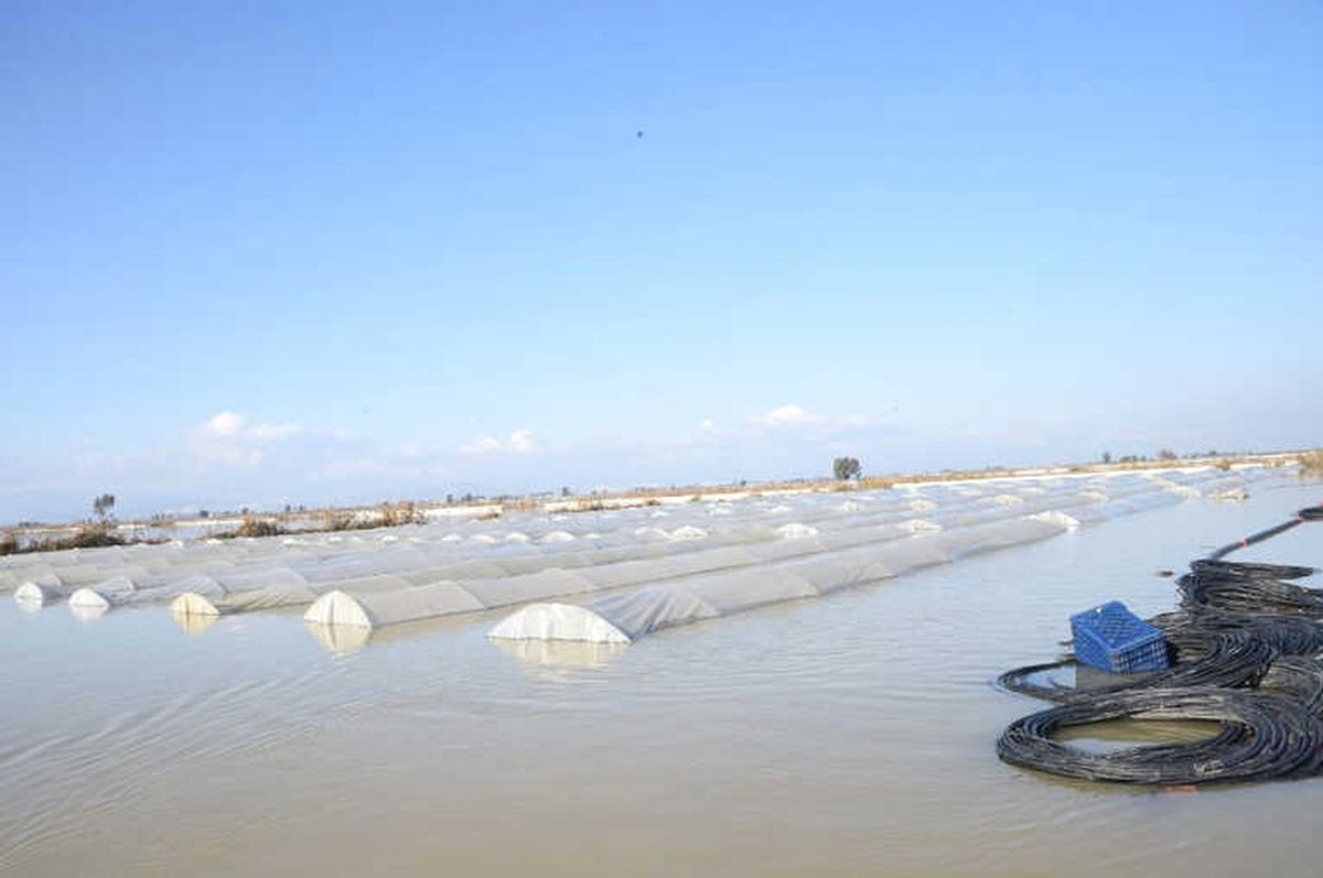 Mersin\'de Şiddetli Yağışların Zararı 115 Milyon Lira