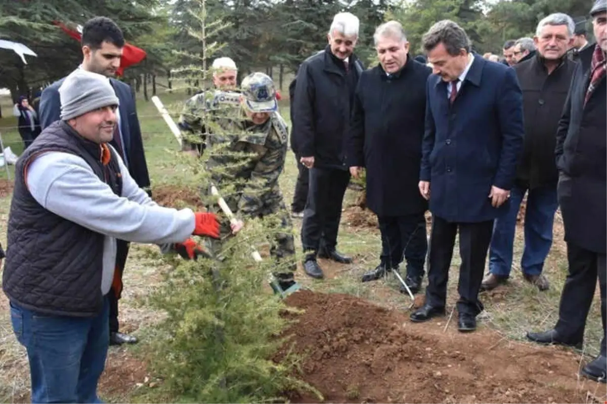 15 Temmuz Şehitleri İçin Orman