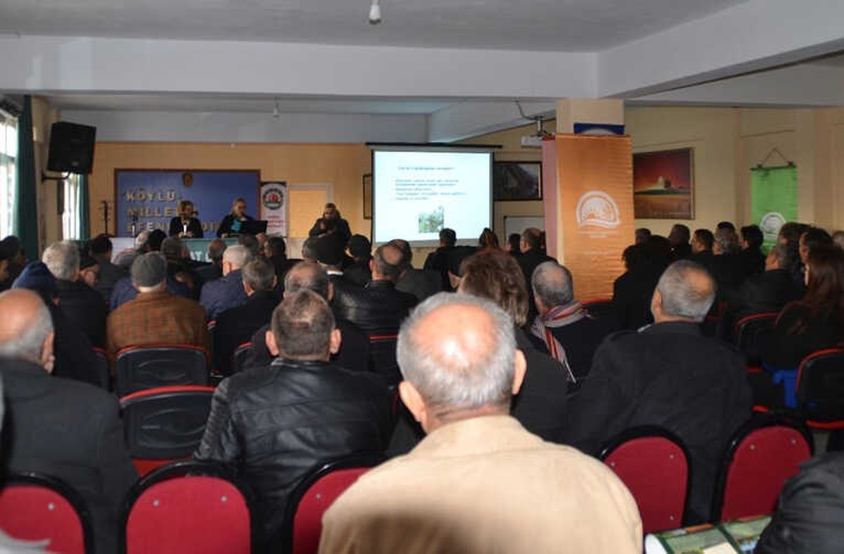 Bafra\'da Fındık Yetiştirme Teknikleri Anlatıldı