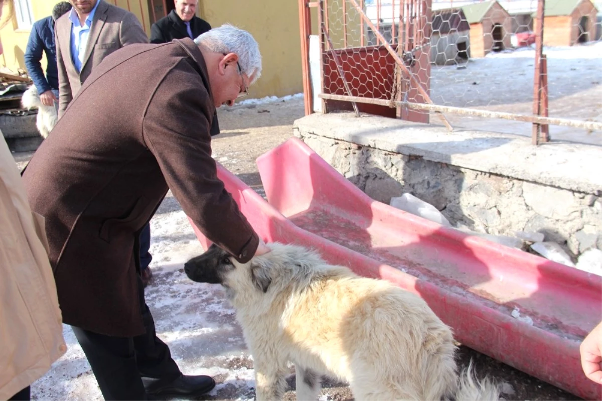 Başkan Karaçanta: "Sokak Hayvanlarına Hep Birlikte Sahip Çıkmalıyız"