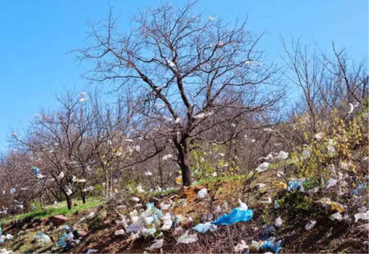 Daha Az Plastik Kullanımı İçin İpuçları