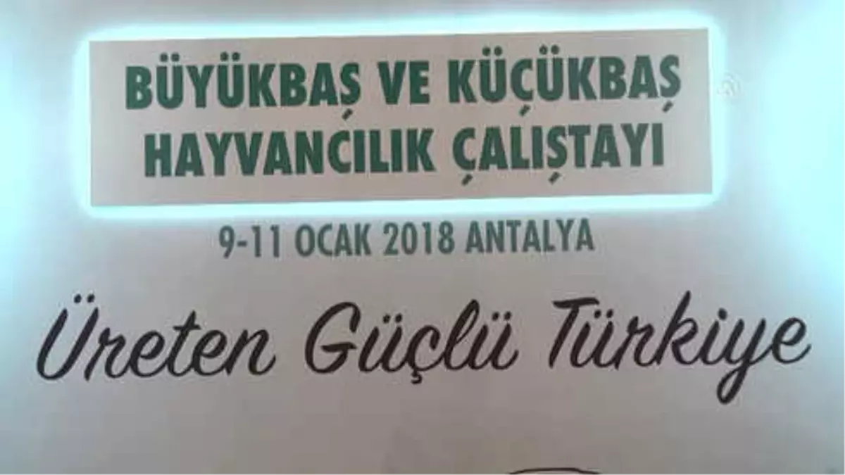 Fakıbaba: "Allah Aşkına Hoca Unvanıyla Çıkıyorsun, Milleti Yanlış Yönlendiriyorsun"