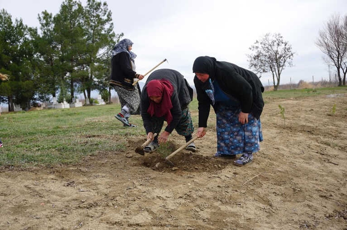 Kur\'an Kursu Kadın Öğrencileri Mezarlığı Ağaçlandırdı