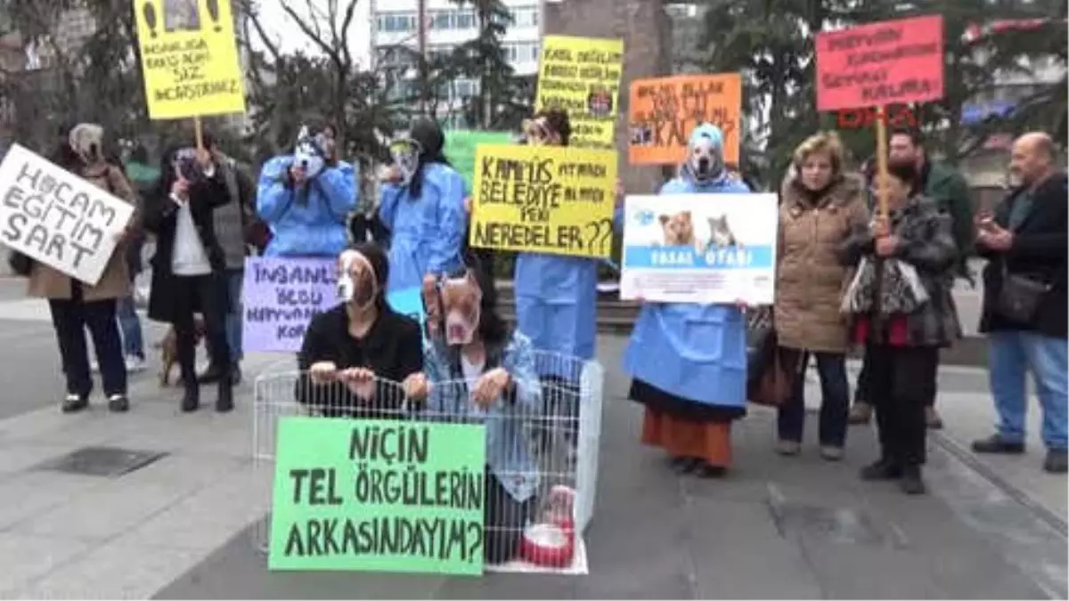 Trabzon Hayvan Severlerden, Üniversitede Kaybolan Köpeklere Tepki