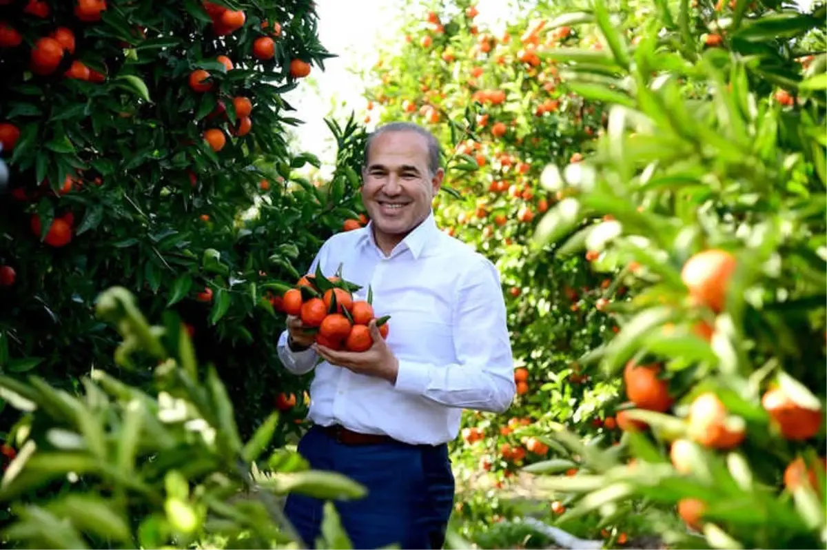 Başkan Sözlü, Mandalina İçin Kameralar Karşısına Geçti