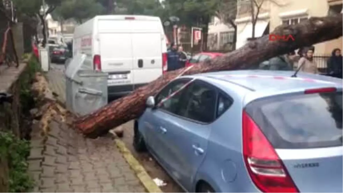 İzmir Çam Ağacı Otomobillerin Üzerine Devrildi