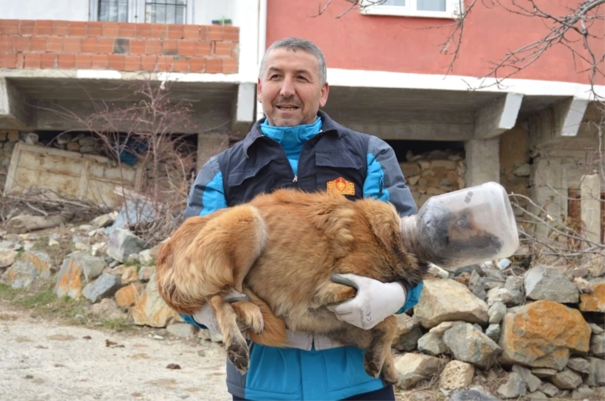 Kafasına Bidon Sıkışan Köpek İçin İtfaiye Seferber Oldu