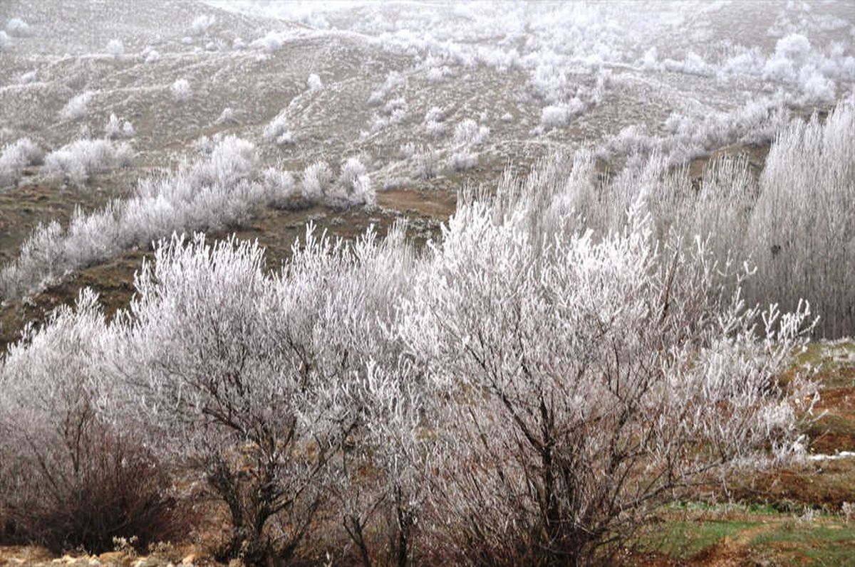 Muş\'ta Soğuk Hava