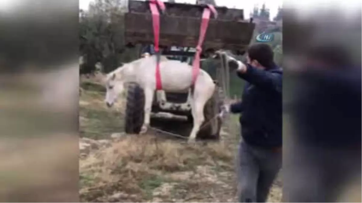 Dereye Düşen Sahipsiz Atı İtfaiye Kurtardı