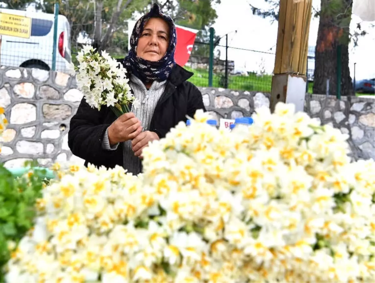 İzmir\'de Nergis Kokulu Günler Başladı