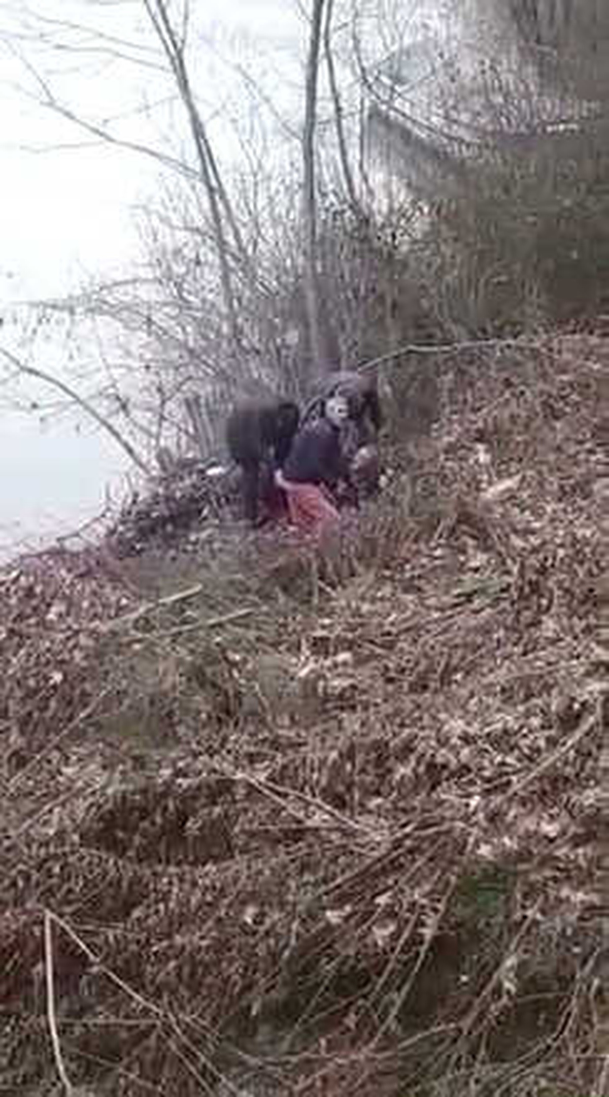 Köprüden Irmağa Atladı, Vatandaşlar Kurtardı