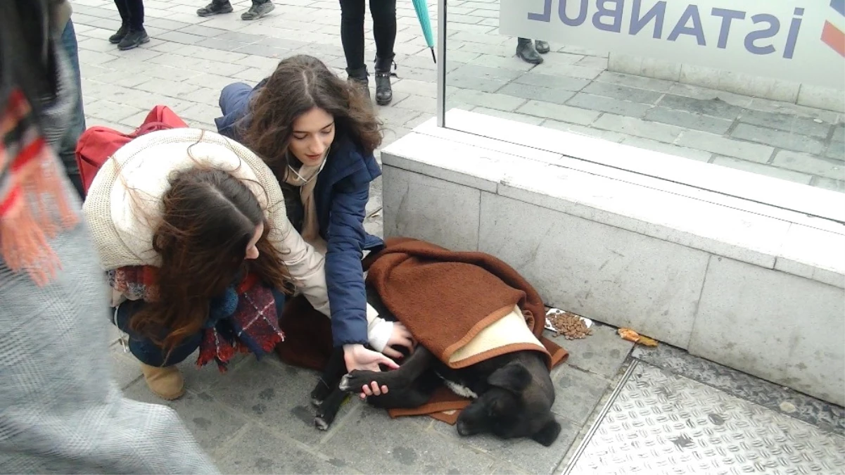 Taksim Metrosunda Duygulandıran Görüntü