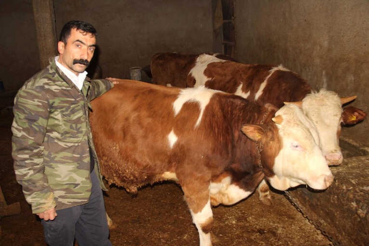 Ayyıldız\'a 50 Bin Lira Verdiler Satmadı