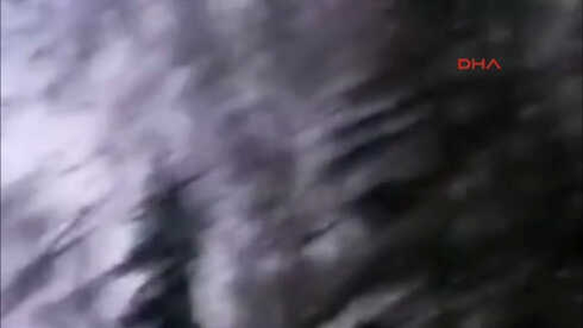 Bolu Kızıl Geyikler, Karla Kapla Ormanda Görüntülendi