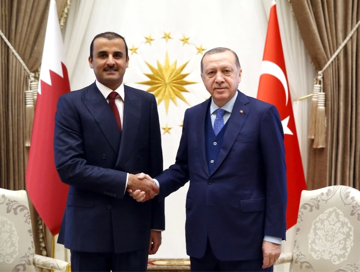 Cumhurbaşkanı Erdoğan, Katar Emiri Şeyh Temim Bin Hamad Al Sani ile Bir Araya Geldi