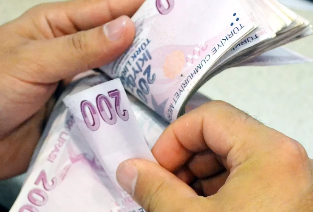 En Borçlu Sektör Finansal Olmayan Kuruluşlar