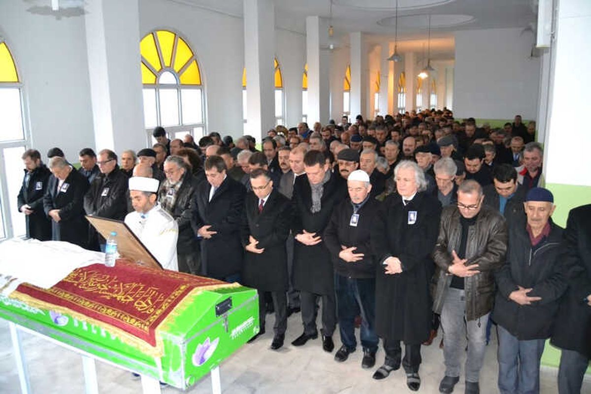 Karabük\'ün Asırlık Çınarı Vefat Etti